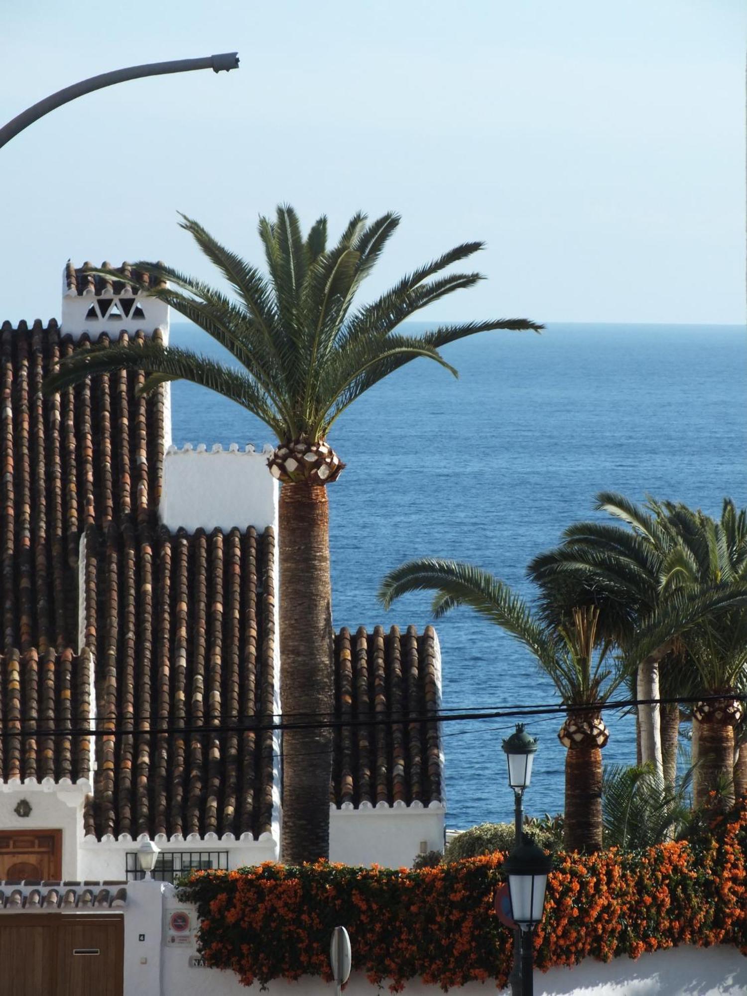 Los Jarales, Nerja Εξωτερικό φωτογραφία